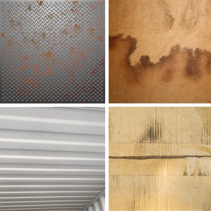 Moisture damage caused by container rain