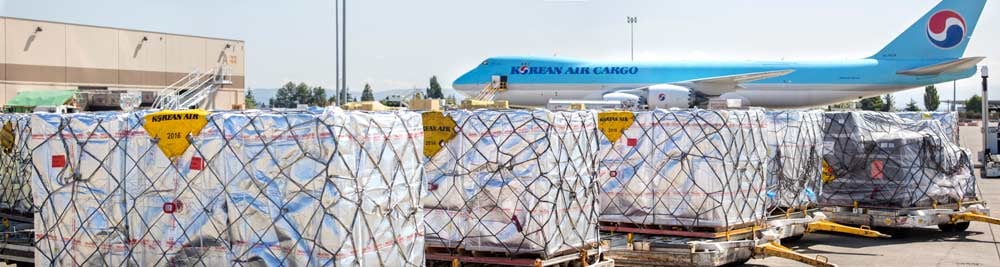 Airfreight containers being loaded onto cargo plane