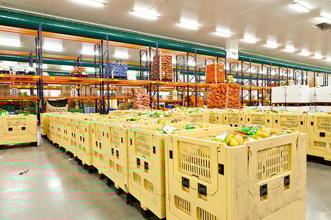 cold-chain-logistics