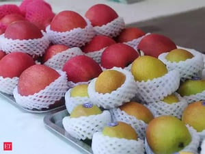 Fresh fruit packed carefully